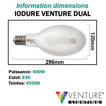 LAMPE OVOIDE IODURE DUAL 400W E40