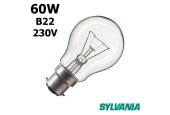 Ampoule standard claire 60W B22 230V