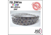 RUBAN LED 19.2W RGB + BLANC WW ou CW