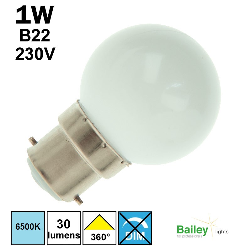 Ampoule de guirlande blanche 1W B22 230V