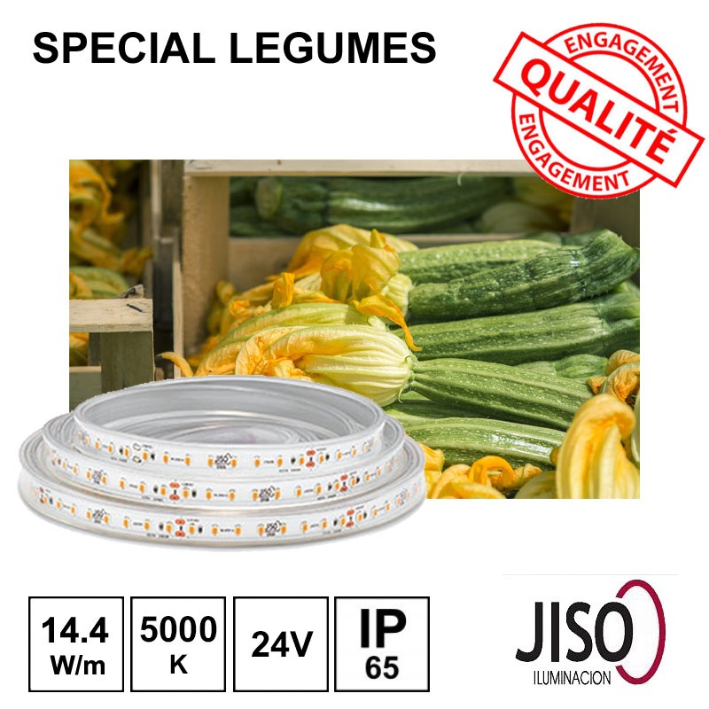 Ruban LED 14.4W/m 24Vdc IP65 - Eclairage des Légumes