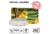 Ruban LED 14.4W/m 24Vdc IP65 - Eclairage des Légumes