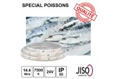 Ruban LED 14.4W/m 24Vdc IP65 - Spécial POISSONNERIE