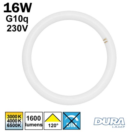 Tube circulaire LED G10q - DURALAMP CIRCOLINE Ø298 16W