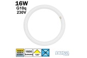 Tube circulaire LED G10q 16W Ø298mm Tube circulaire LED G10q 16W Ø298mm