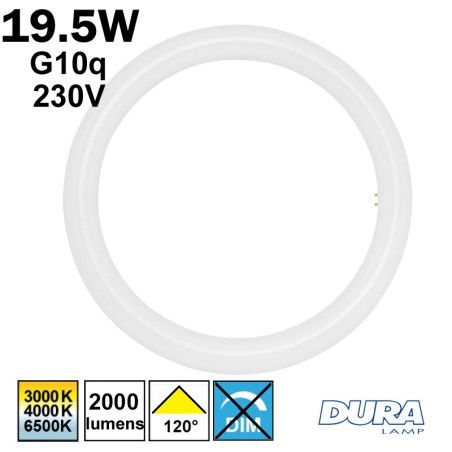 Tube circulaire LED G10q - DURALAMP CIRCOLINE Ø400 19,5W
