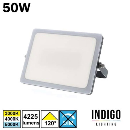 Projecteur INDIGO CURTIS 50W 230V