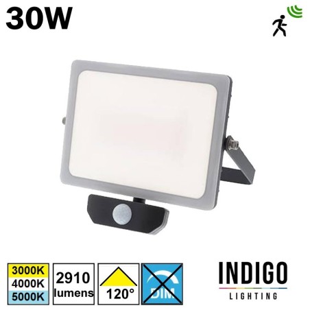 Projecteur avec détecteur INDIGO CURTIS 30W 230V