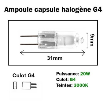 Ampoule 20W G4 12V- BLISTER DE 2