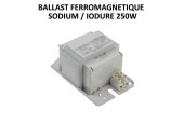 BALLAST FERROMAGNETIQUE SODIUM/IODURE 250W