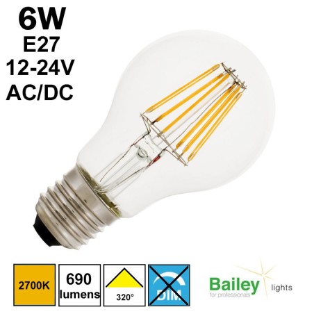 Ampoule LED tension 12V ou 24V culot E27