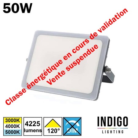 INDIGO CURTIS 50W - INDIGO OU47224 projecteur extérieur