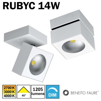 Applique ou plafonnier LED BENEITO RUBYC 14W