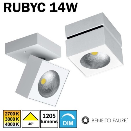 Applique ou plafonnier LED BENEITO RUBYC 14W