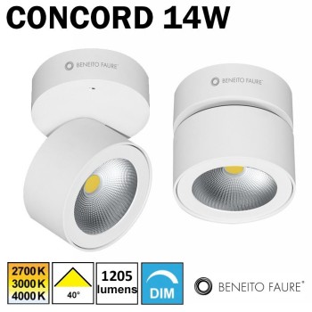 Applique ou plafonnier LED BENEITO CONCORD 14W