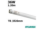 TUBE FLUO LINEAIRE 36W T8 1.2m