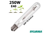 AMPOULE SYLVANIA GROLUX SHP-TS 250W E40