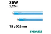 TUBE BLEU 36W FLUORESCENT 1.20m TUBE BLEU 36W FLUORESCENT 1.20m