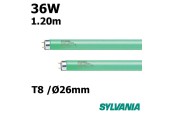 TUBE VERT 36W FLUORESCENT 1.20m