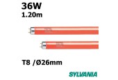 TUBE ROUGE 36W FLUORESCENT 1.20m TUBE ROUGE 36W FLUORESCENT 1.20m