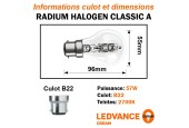 Ampoule Standard Eco halogene 57W B22 240V RADIUM Ampoule Standard Eco halogene 57W B22 240V RADIUM