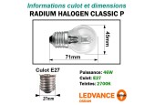 Sphérique Eco halogene 46W E27 230V RADIUM